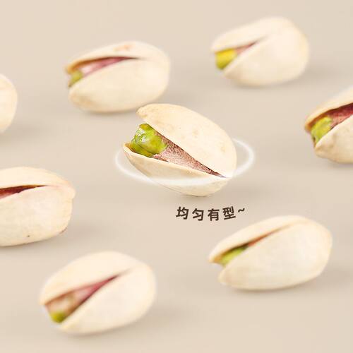 2026新货】大颗粒无漂白本色原味开心果500g袋装坚果孕妇干果零食