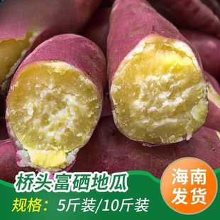 海南澄迈桥头地瓜富硒正宗板栗小红薯新鲜粉糯自种大番薯黄心蜜薯