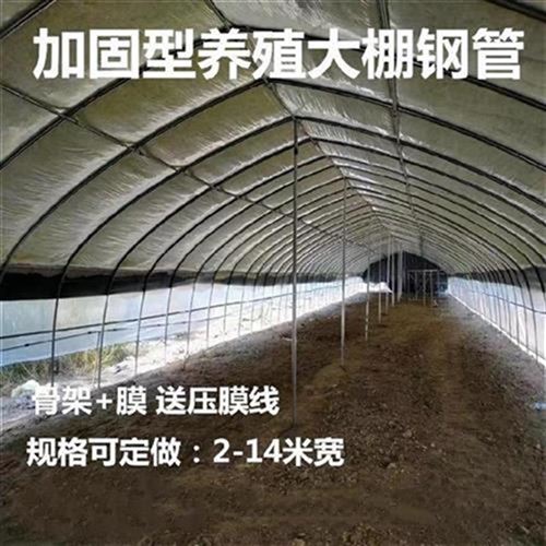 好货殖大棚钢管拉室猪l用拱架钢管温杆大L棚养羊农用Z骨架搭建.