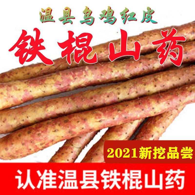 河南省焦作市温县乌鸡土红秀铁棍山药新鲜铁杆淮怀山特产礼盒