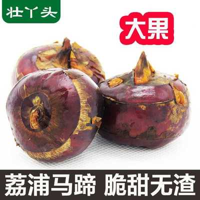广西荔浦马蹄荸荠新鲜现挖地梨乌芋桂林农家自种珍珠生鲜水果即食