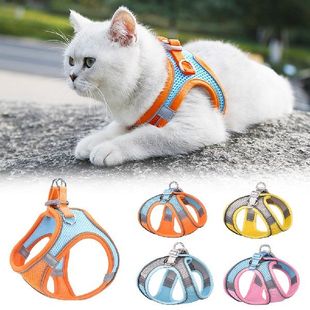 Safety Strap 1.5M 新品 Nylon Suitable Chest XXS Mesh Leash