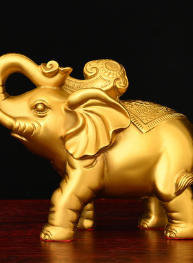 纯铜大象摆件一对铜象招财客厅玄关财位吸水象特大号铜大象工艺品