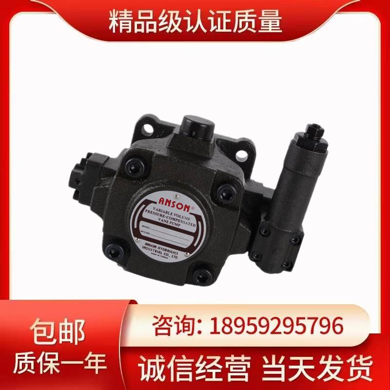 义盛液压 VDC-1B-F40A/F40B/F40C/F40D-9T 电动叶片泵 液压帮浦油