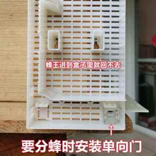 极速隔王片中蜂自动分蜂神器除雄蜂多功能自动分蜂器收蜂王笼意蜂