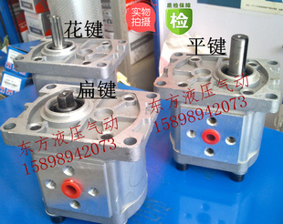 极速液压油泵 右旋 扁键 规格齐 左旋 花键 E316 CBN 齿轮泵 平键