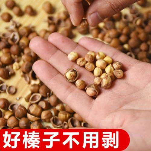 2024手拍榛子 东北铁岭特产野生原味炒熟开口薄皮小榛子干果 坚果