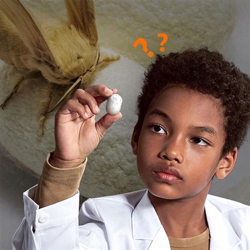 小学生蚕宝宝养殖箱儿童养蚕体验套装专门养蚕的盒子全套工具