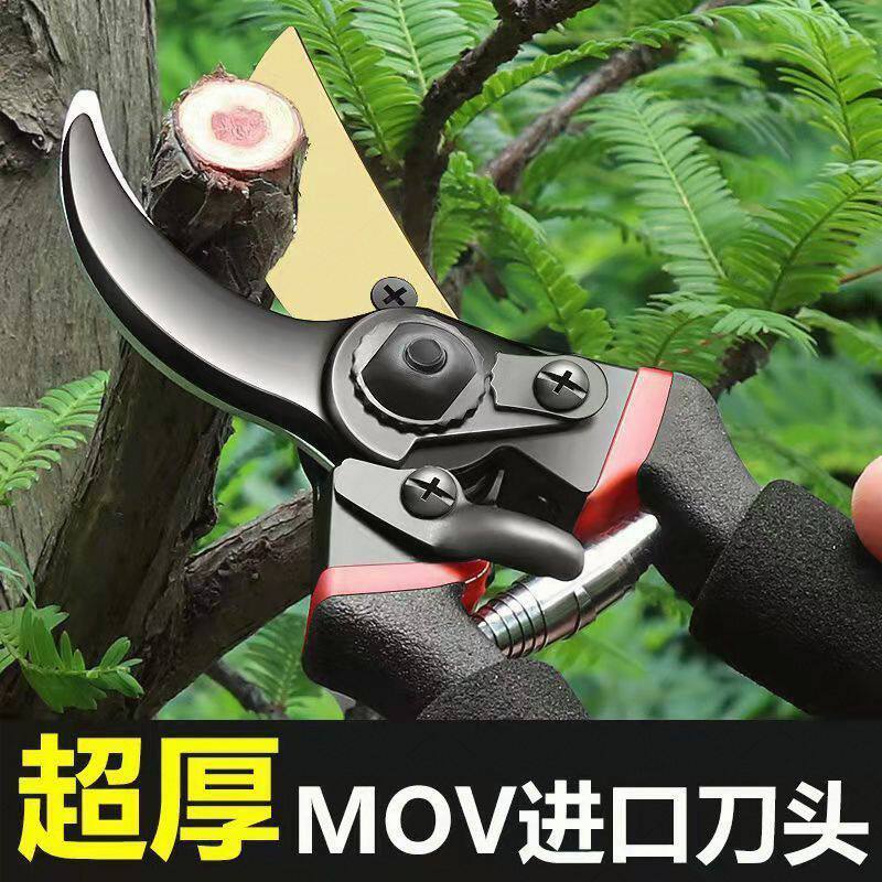 极速德国钢剪树剪子果树剪修枝剪粗枝剪园艺剪刀家用花木葡萄修剪