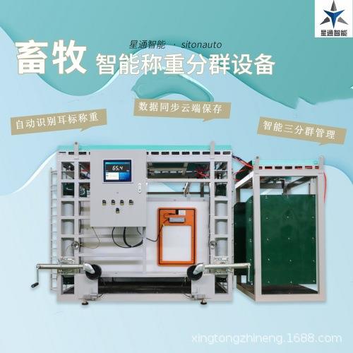 养殖场牛羊管理系统智能称重分群设备耳标识别智慧畜牧养殖管理