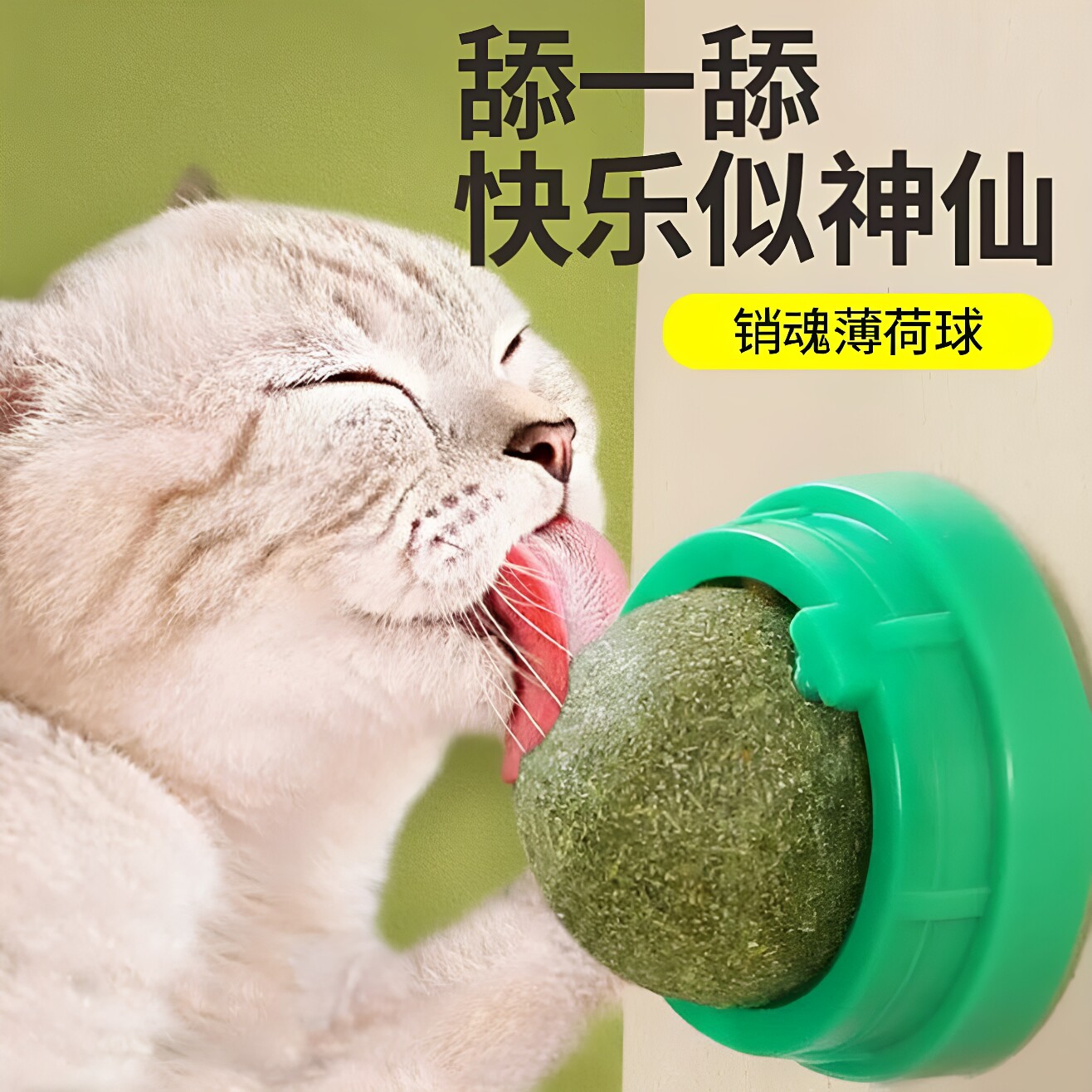 旋转猫薄荷球磨牙除臭自嗨逗猫