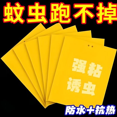 柑橘瓜果实蝇针蜂黄板双面粘虫板果园大棚胶粘板蓟马篮板引诱虫板