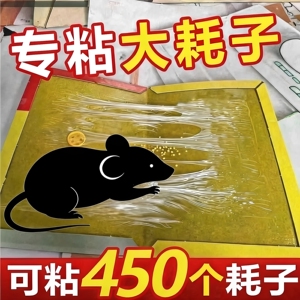 新款家用粘鼠板驱鼠神器高效强力胶大老鼠胶药捕捉常备品优选推荐