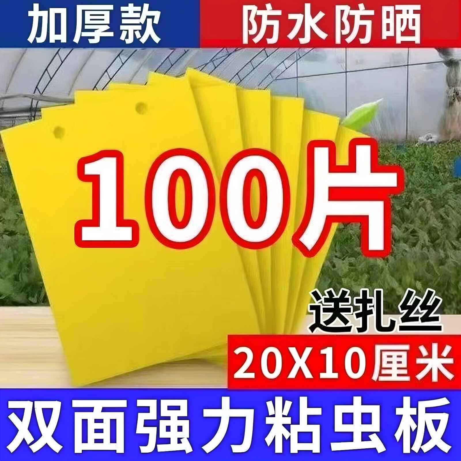柑橘瓜果实蝇针蜂黄板双面粘虫板果园大棚胶粘板蓟马篮板引诱虫板
