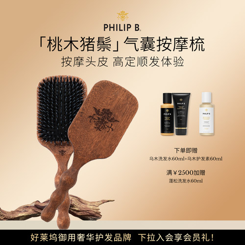 美国PhilipB裴利毕猪鬃美发梳