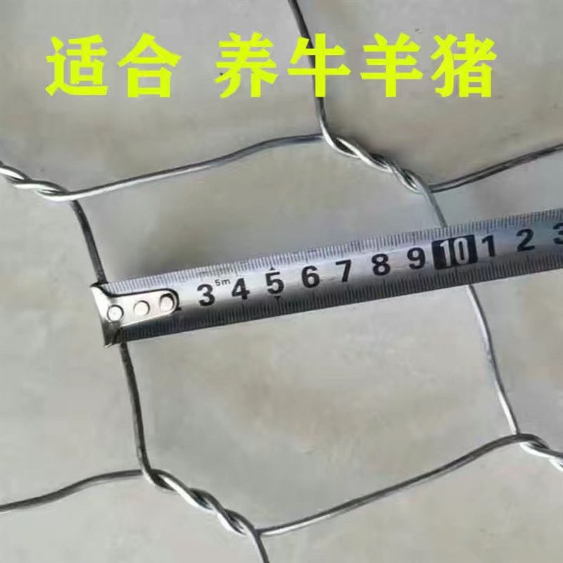 铁丝网护栏养殖牛羊猪狗鸡鸭兔鸽六角网内外墙保温网抹灰网砂浆网