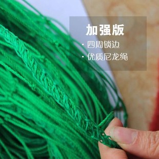 爬藤网种植植物攀爬家用q蔬瓜果种黄瓜百香果园艺菜园一件代发