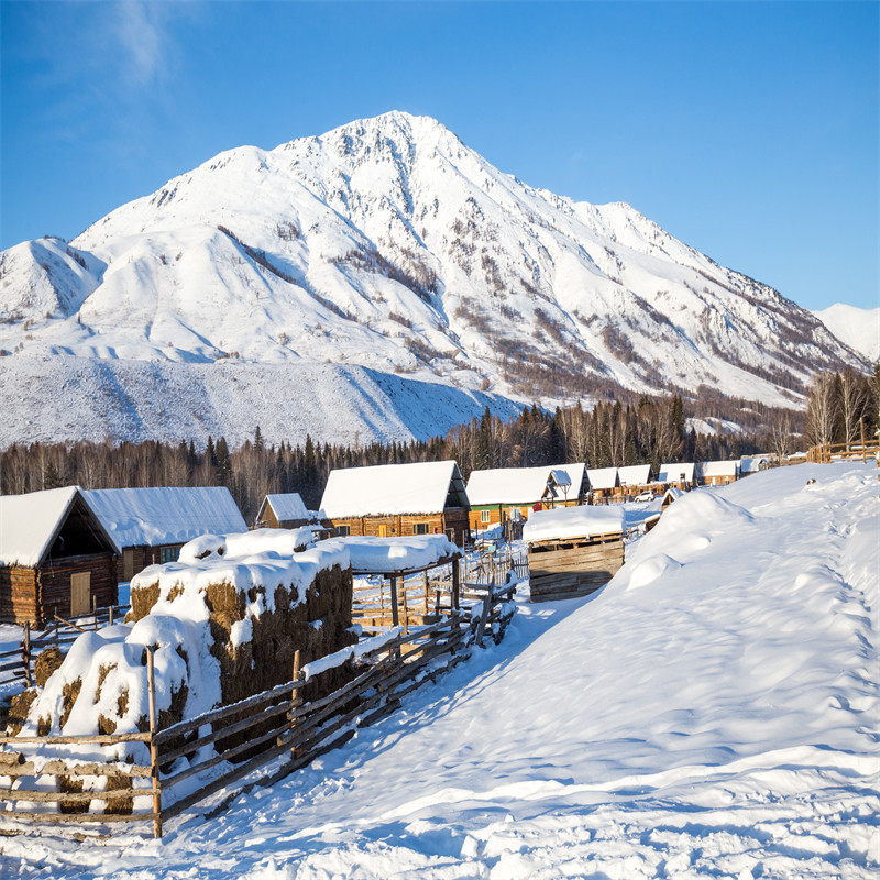 冬季雪景直播间背景墙大山高山阳光林海雪山雪屋直播背景布3d立体直播背景墙图可移动网红主播背景布3d立体
