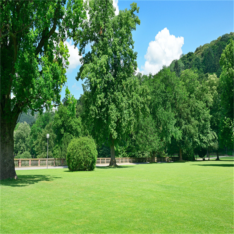 户外公园草坪直播背景布蓝天白云风景田园大草坪户外主播公园草地酒店泳池秋季落叶树林场景拍照高清3d背景布