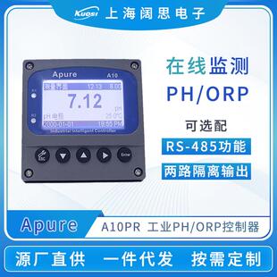 在线ph计检测仪A10PR系列PH/ORP控制器酸碱度ph测试仪酸度计