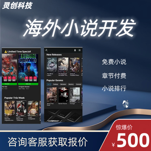 海外小说app开发漫画小程序海外漫画小说爽文有声书app源码交付
