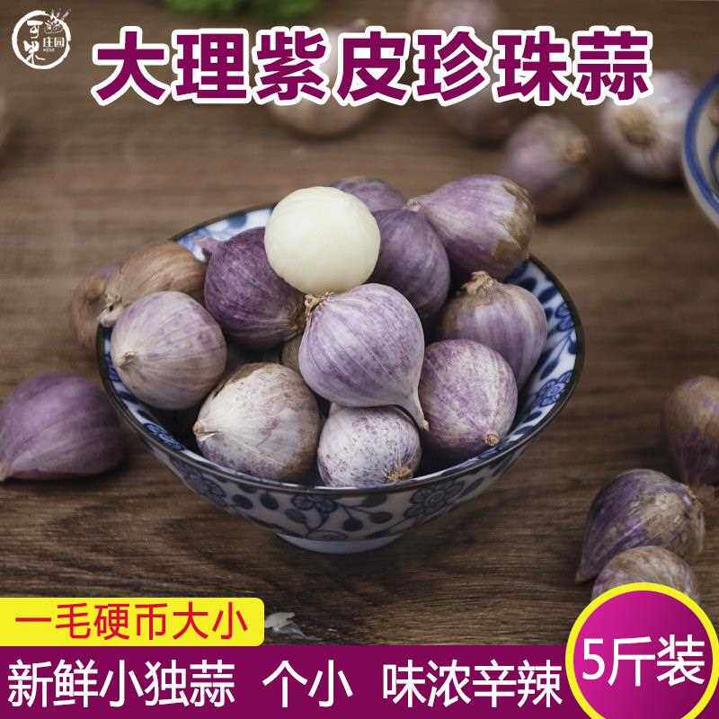 云南大理紫皮独头大蒜5斤独蒜头小个大蒜新鲜干蒜子珍珠大独蒜