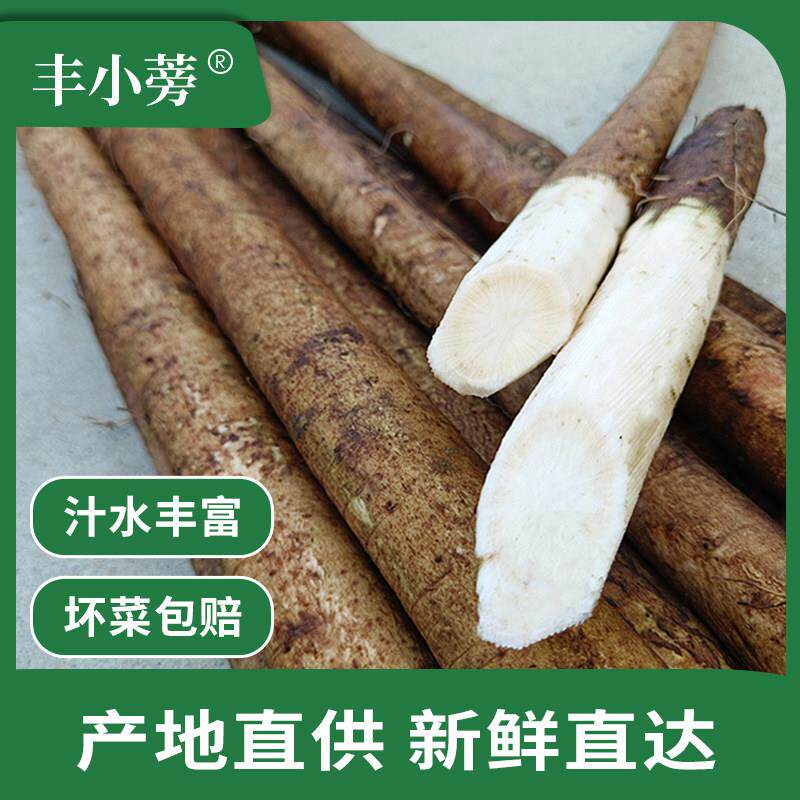现挖牛蒡新鲜整根5斤优选兰陵苍山牛膀旁茶寿司料理紫菜包饭 原料