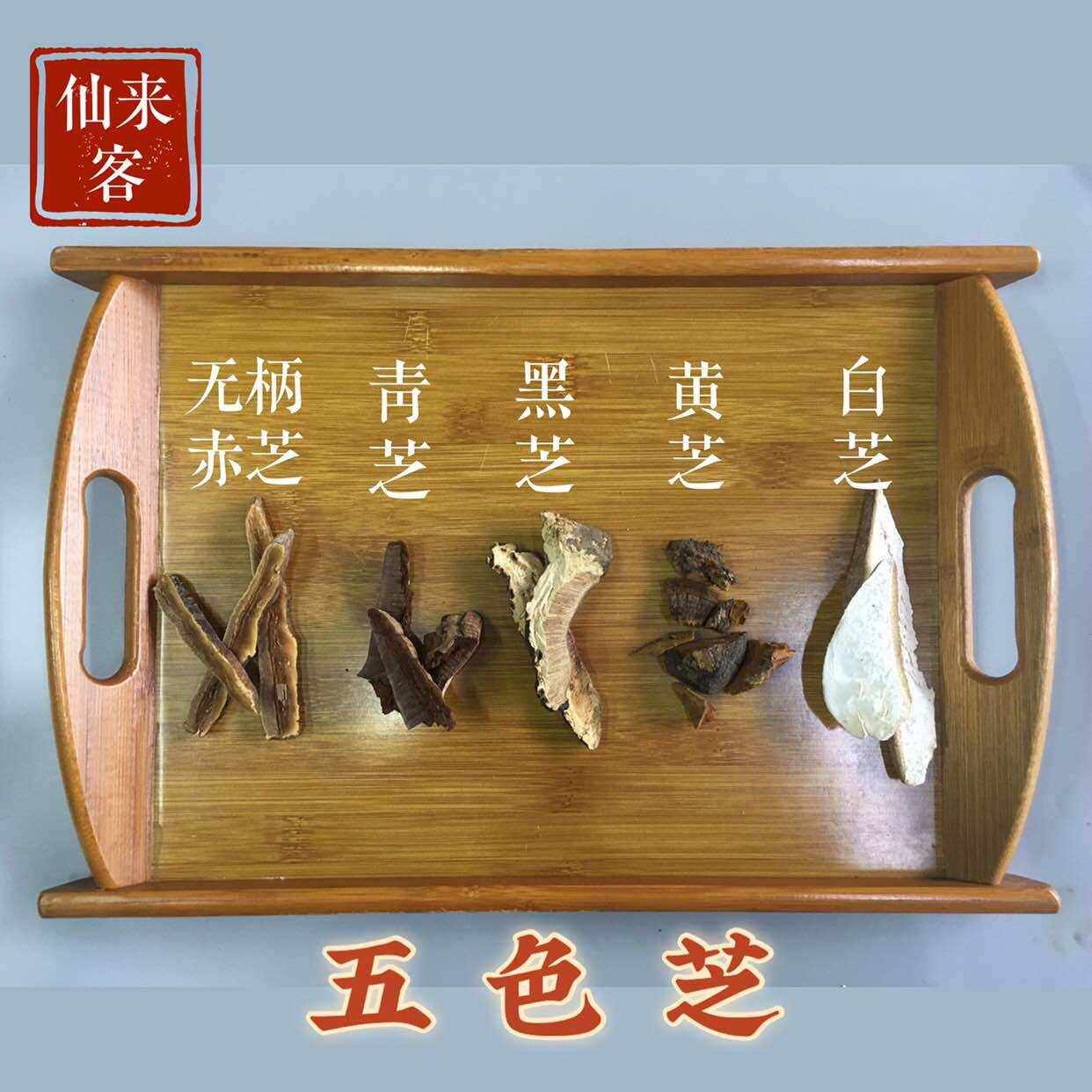 海南五色灵芝白芝青芝无柄赤芝黑芝黄芝500g灵芝五色煲水野生灵芝