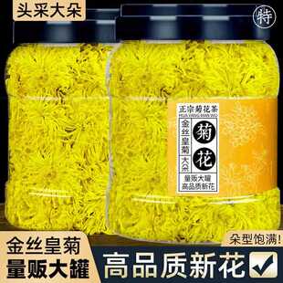 菊花茶一朵一杯金丝皇菊大朵黄菊花贡菊特产级罐装
