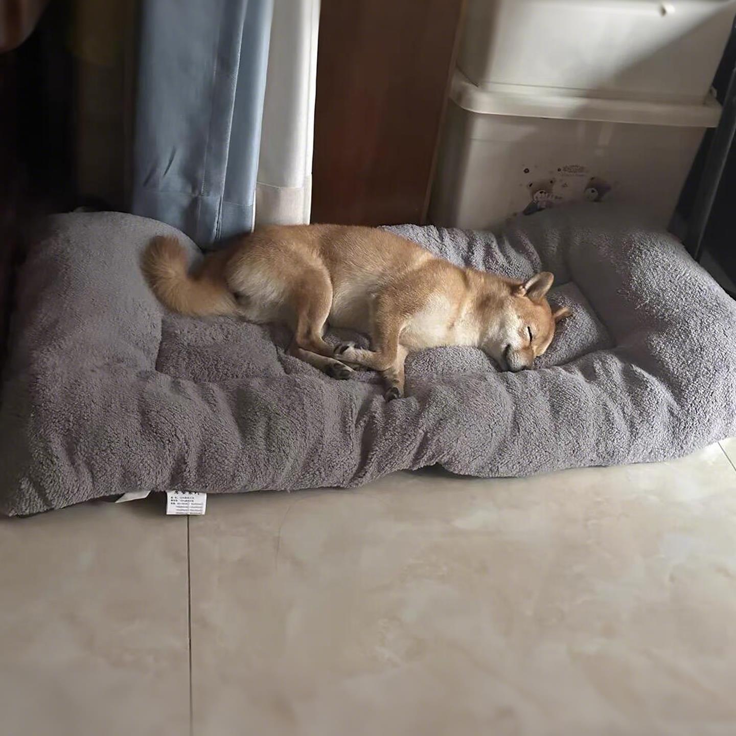 狗窝大中小型犬金毛柯基睡觉垫子冬季保暖猫窝狗床宠物窝狗狗用品