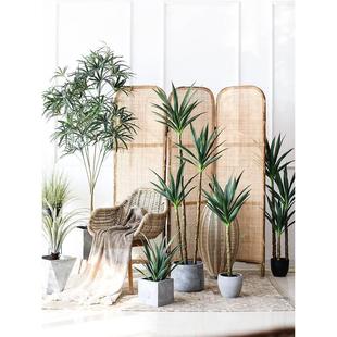 饰仿生绿植假树室内橱窗造景家居摆件 北欧仿真剑麻铁树植物盆栽装