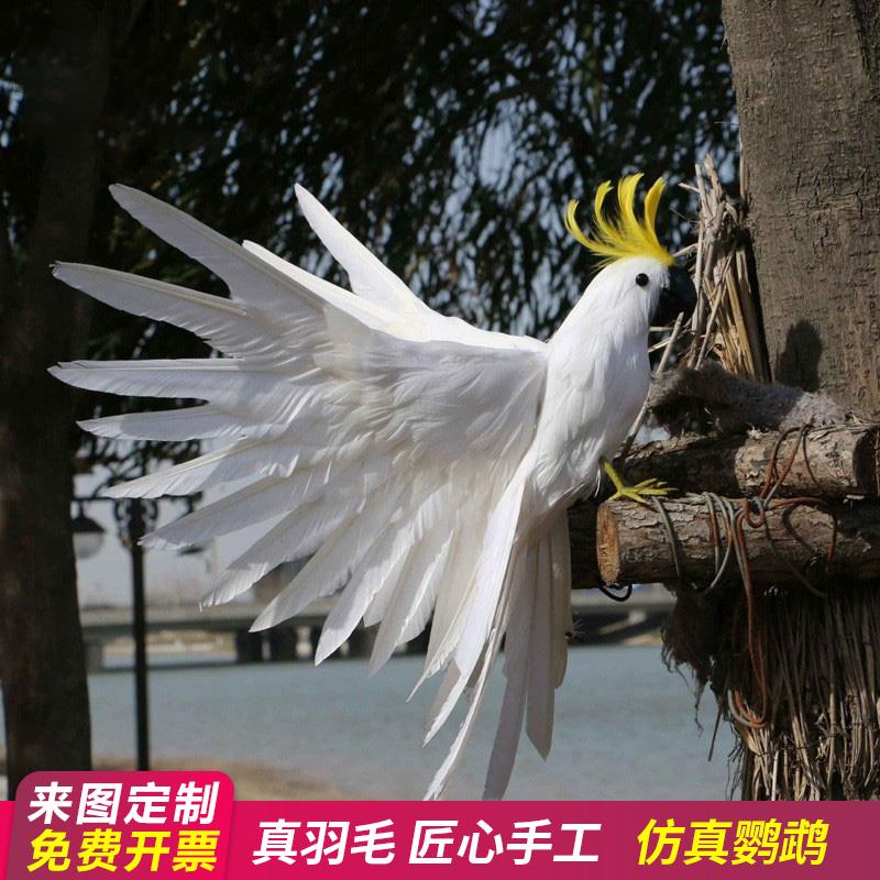 仿真小鸟金刚鹦鹉摆件真羽毛彩色动物标本摄影道具教学工艺品模型