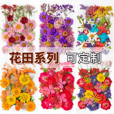 真花押花diy干花花瓣妆少女写真