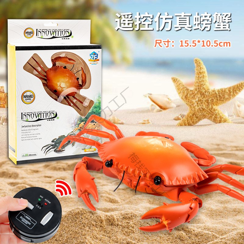 速发电动玩具遥控4龟会孩的机器-6岁男孩宝宝2-乌岁动儿童