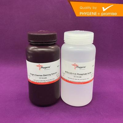 速发PH萨26 瑞氏-姬姆1复合染色液 瑞氏 吉姆萨染液 飞净/PHYE