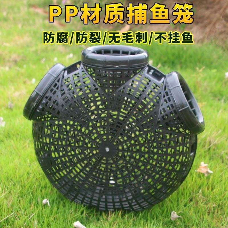 速发自动圆形捕鳝笼黄鳝笼塑虾鳝鱼笼子捕鳝神器泥鳅笼笼料鱼倒须