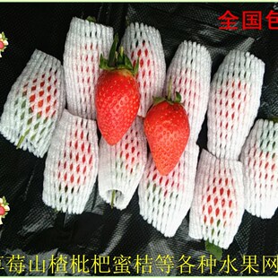 速发水果网套装莓包草山楂防摔沫泡梨花菜网兜网袋鸡蛋塑料防