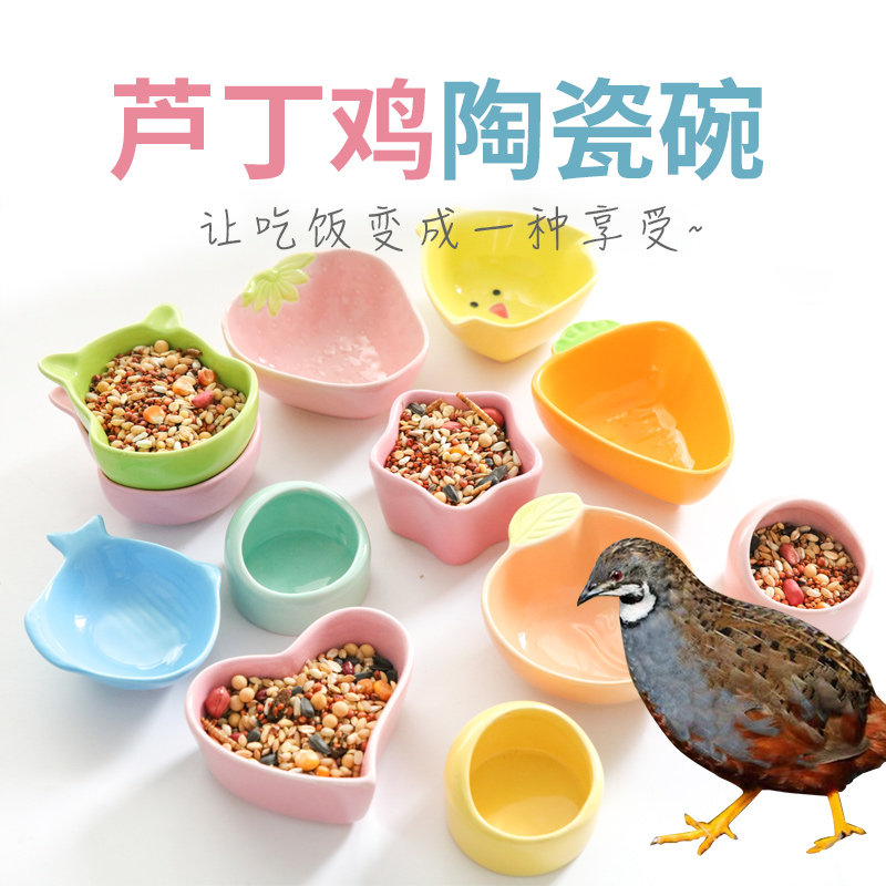 速发芦丁鸡鸡食器小喂雏鸡侧碗鹌鹑柯尔鸭陶瓷防食翻食槽盆饮水器