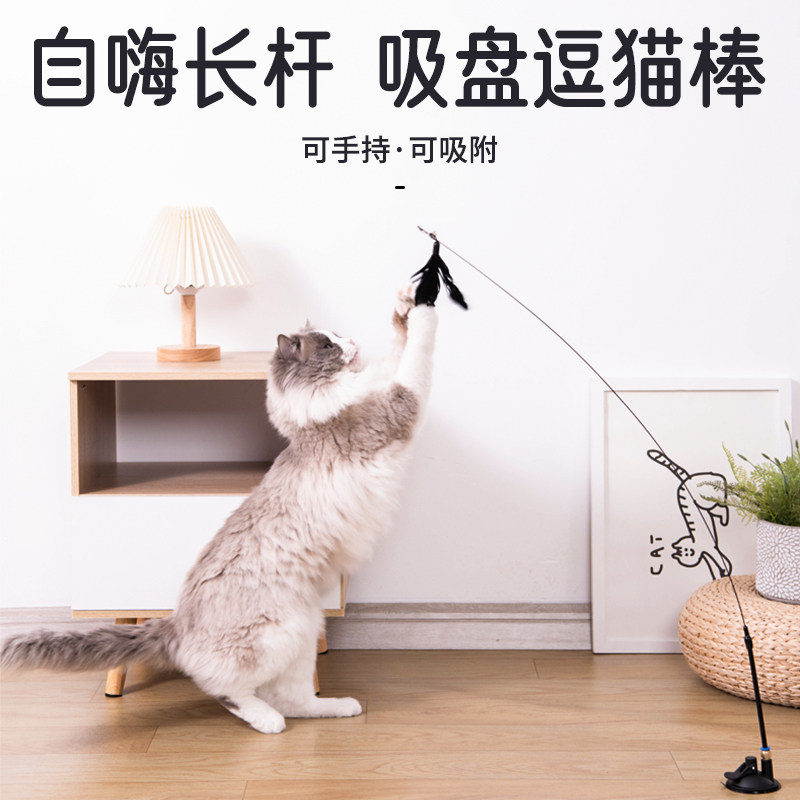 速发猫玩具自嗨解闷神猫猫咪懒人自动逗器棒羽毛带吸盘铃带铛耐咬