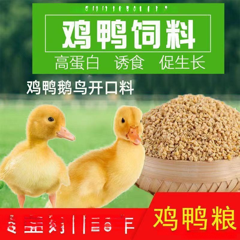 速发鸭饲料预混料小鸡料月小开口个鸭蛋柯包独立站尔邮到家
