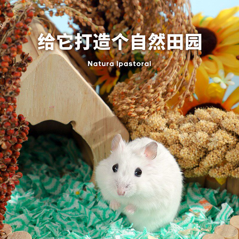 速发零鼠谷穗粮食主粮磨牙棒鼠丝熊鹦鹉仓食仓金笼内造景装饰