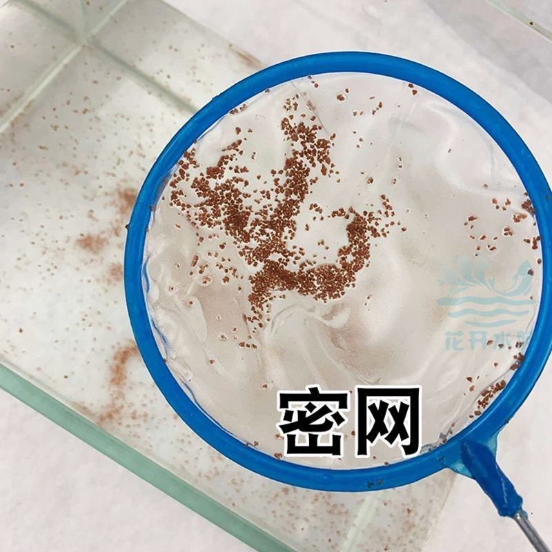 速发鱼缸捞粪网高密度纱网便鱼苗丰龟虾卵水蚤鱼年粪兜细眼网孔鱼