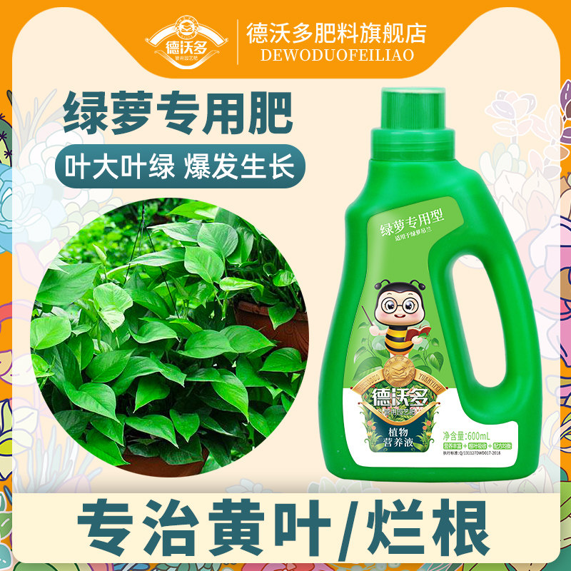 速发绿萝养物营植液专用肥土水培养花吊兰发财树家用浓缩通用型花