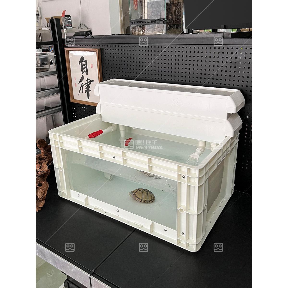 嘿匣子diy周转箱龟缸乌龟缸可视周转箱养龟专用饲养缸生态周转箱