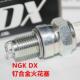 NGK钌合金火花塞适用三阳Maxsym400九妹Z300野狼巡弋300 TL508