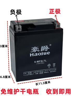迪爽HJ150-9摩托车电瓶YTX7L-BS免维护12N7a/12n6a通用干电池