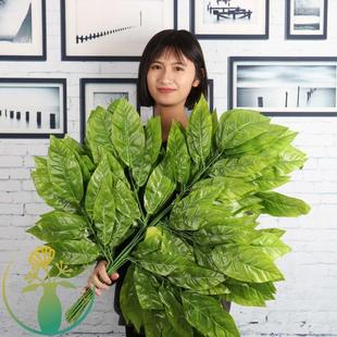 饰植物室内大树工程造景园林绿化塑料树叶 仿真树枝芒果叶商场装