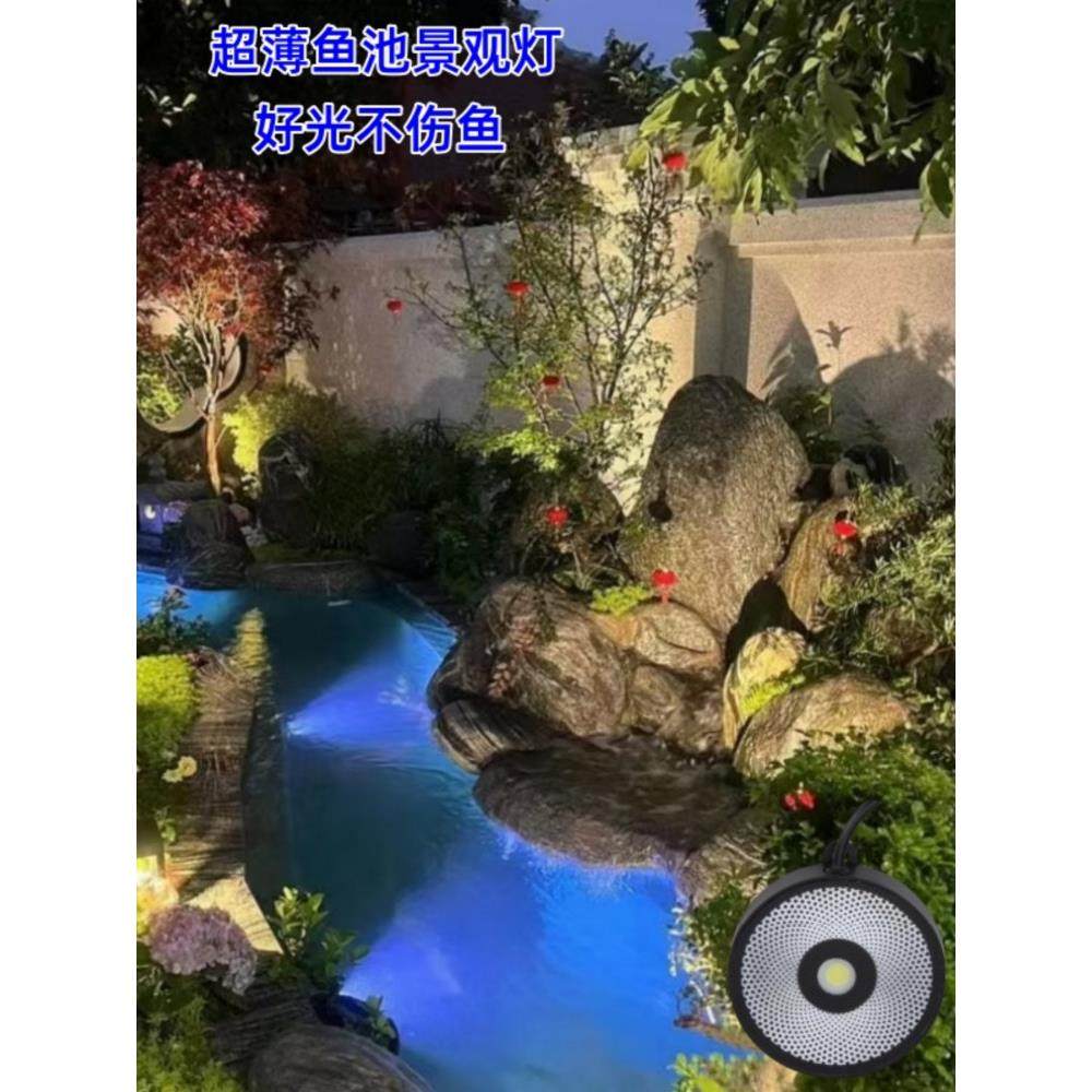 鱼池灯锦鲤鱼池专用灯低压鱼池水下灯冰蓝光水底灯鱼池造景专用灯,家装灯饰光源,景观庭院灯饰,淘宝优惠券,粉丝福利购,淘宝优惠卷