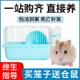 小仓鼠活物送笼子套装 奶茶布丁儿童礼物 活体金丝熊巨型仓鼠好养