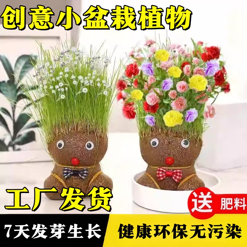 草头娃娃头上长草娃娃创意小盆栽绿植桌面儿童水培植物幼儿园摆件
